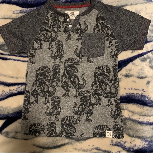 Free People Other - Free people Dino T-shirt short sleeve